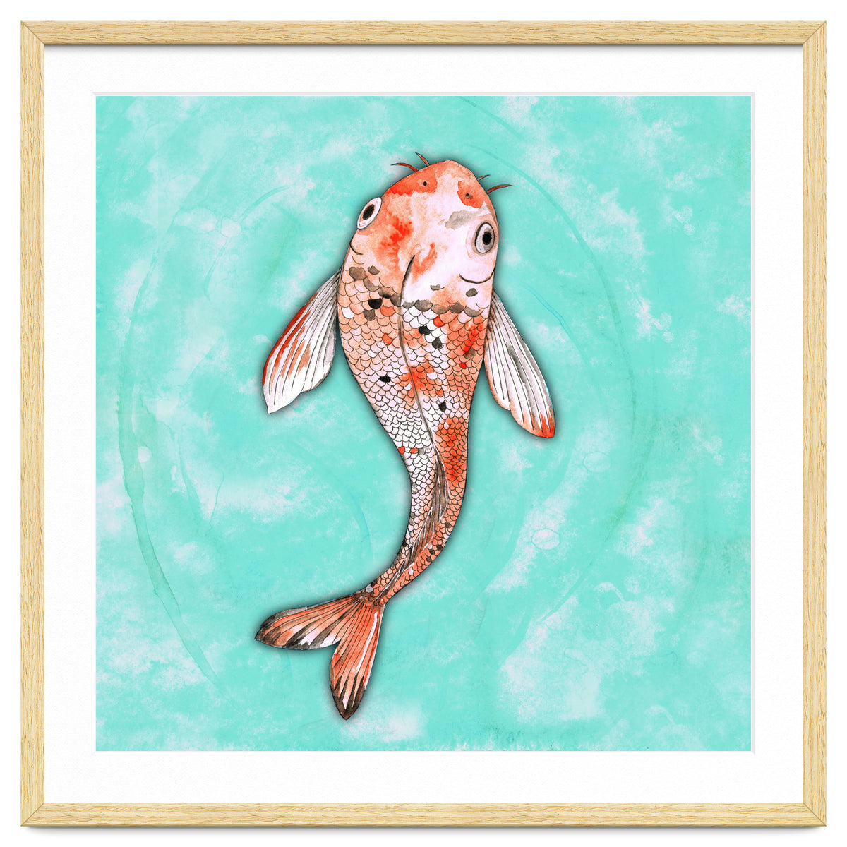 Koi fish