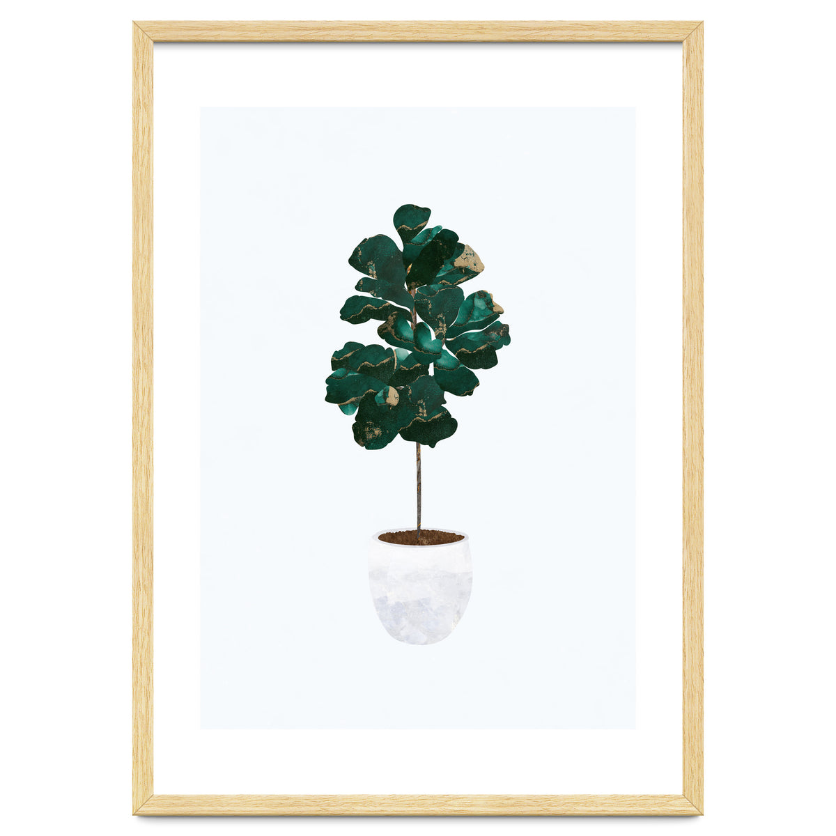 FIddle Leaf Fig gold and green