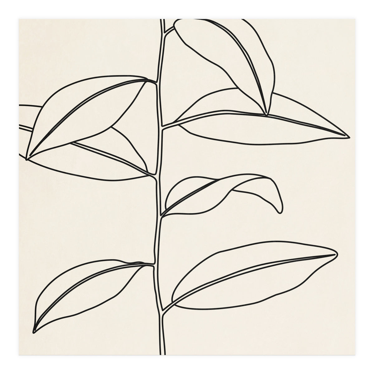 LEAF IN LINE 01 (Print Only)