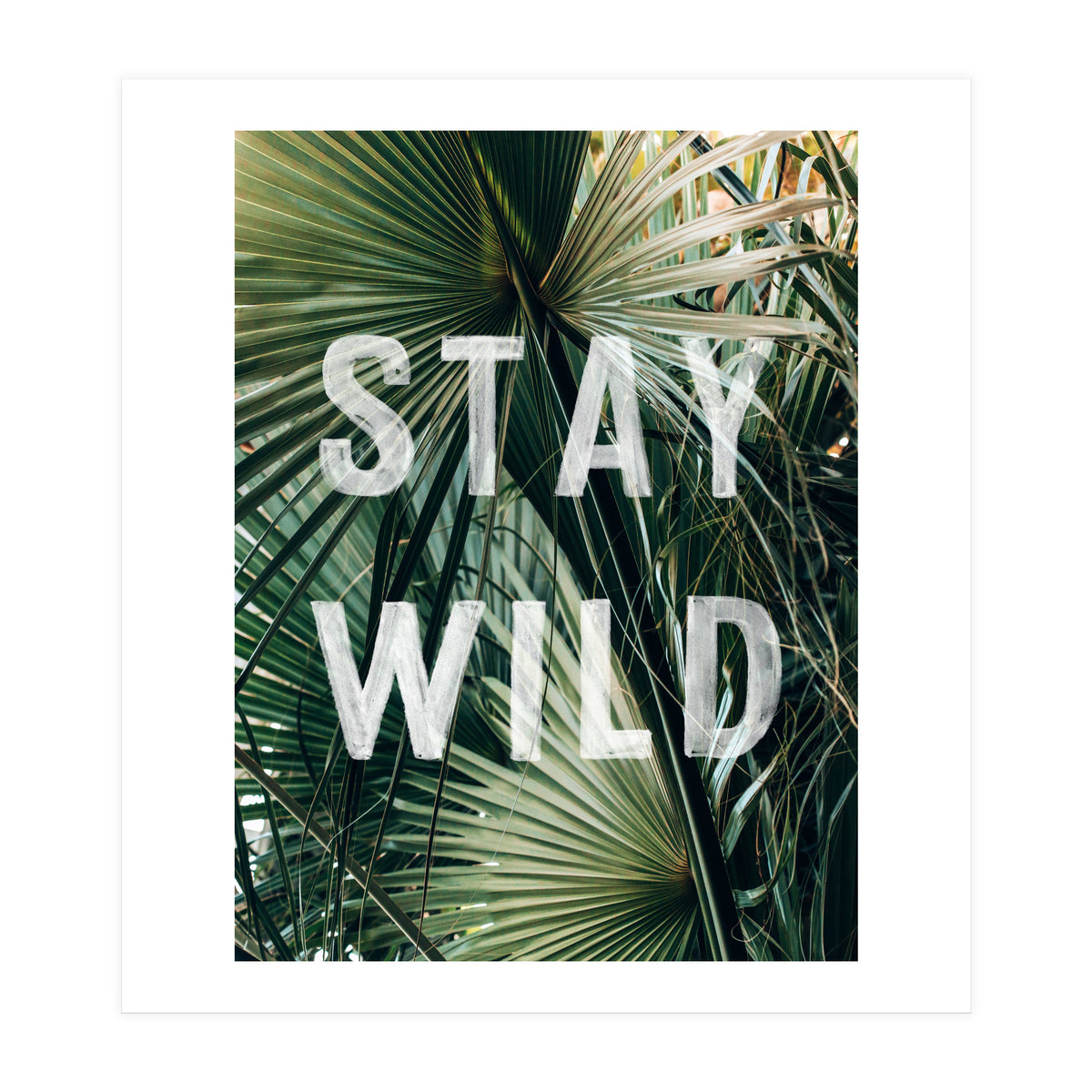 Stay Wild  (Print Only)