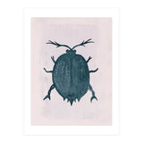 Beetle 2 (Print Only) thumbnail