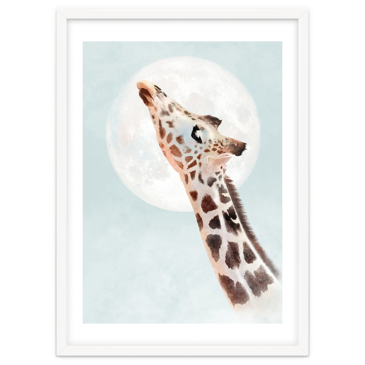 Giraffe And Moon