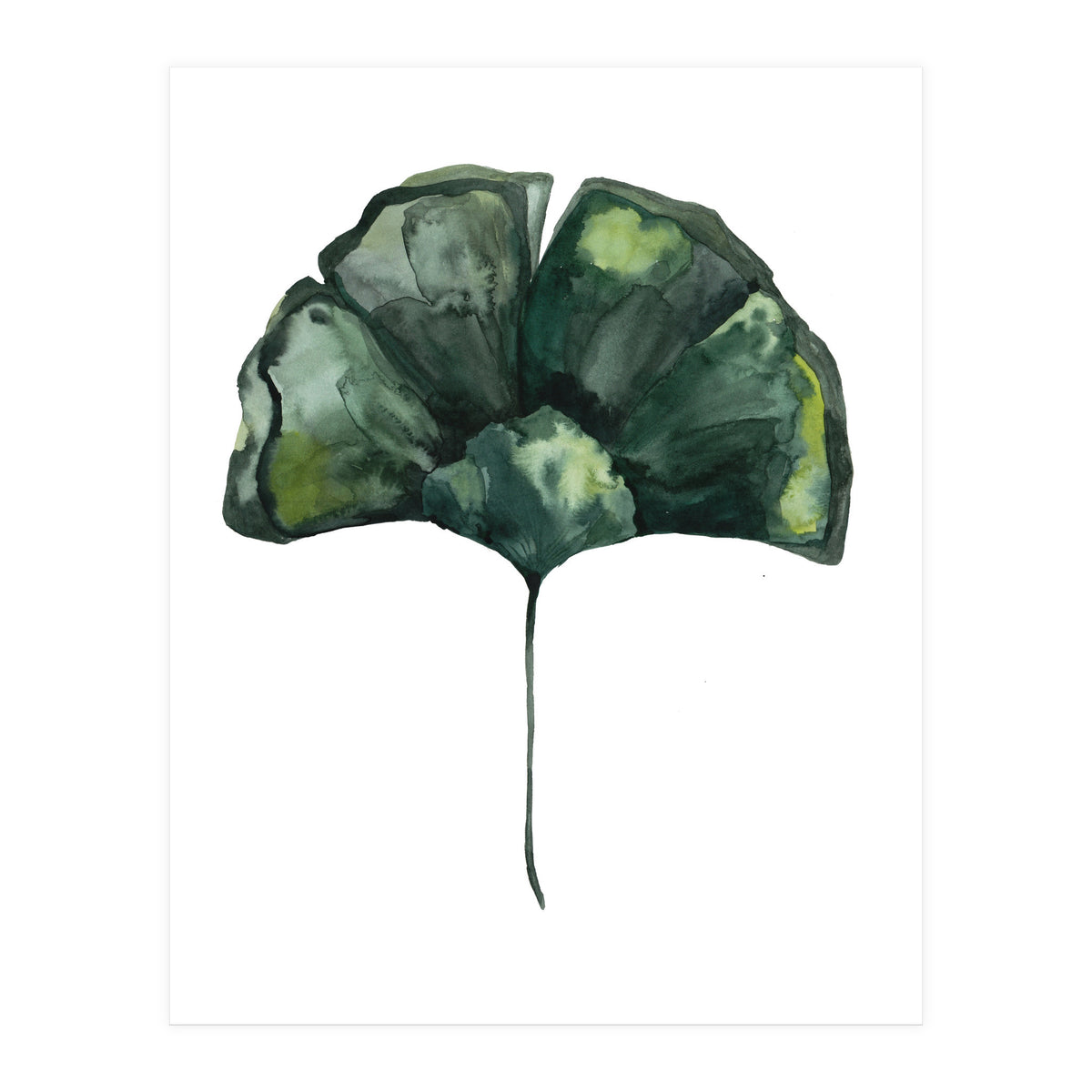 Botanical Illustration Ginko (Print Only)