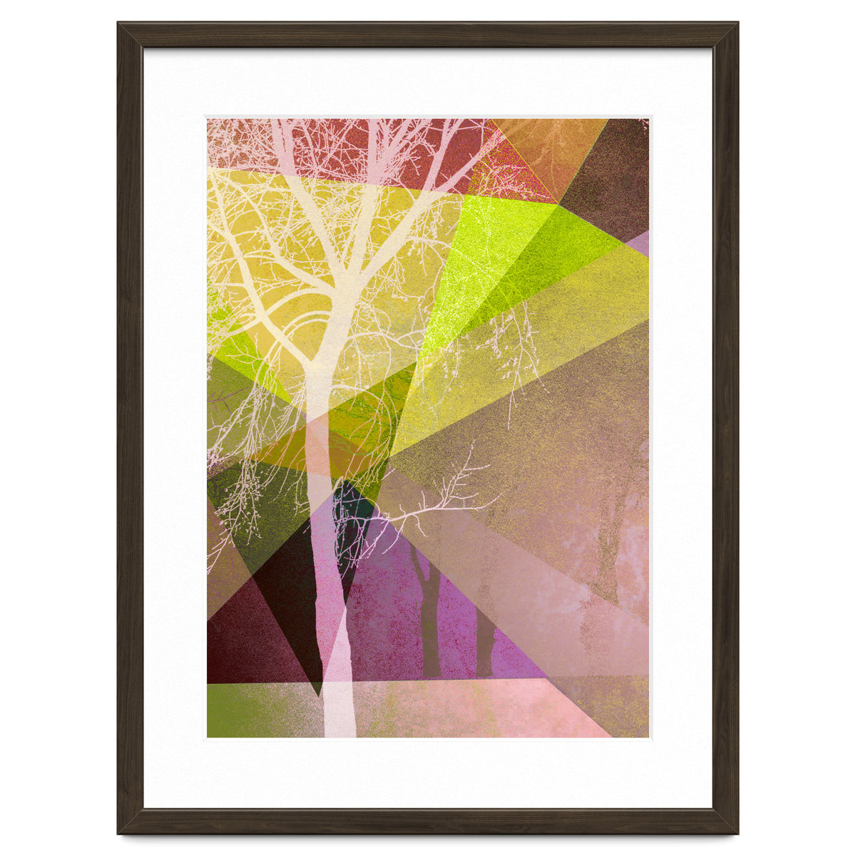 P22 Trees And Triangles