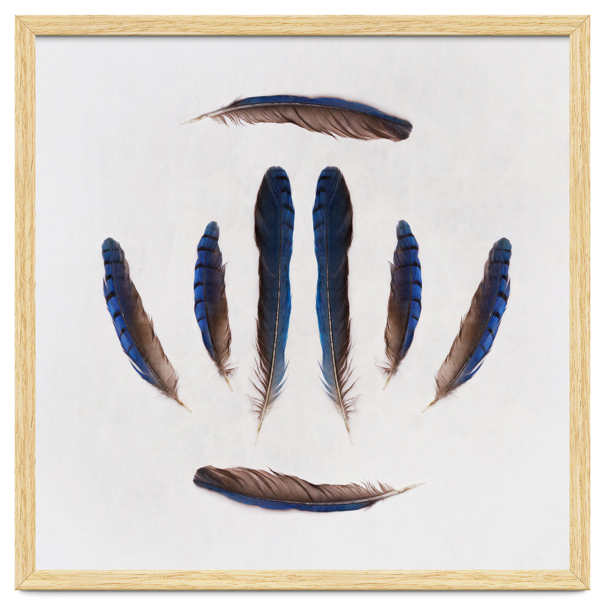 Forgive Me For Forgetting