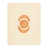 Botanical moon shapes (Print Only) thumbnail