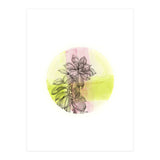 Succulent On Pink And Green (Print Only) thumbnail