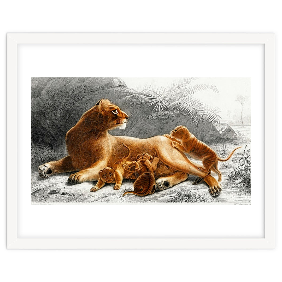 Fails Leo illustrated