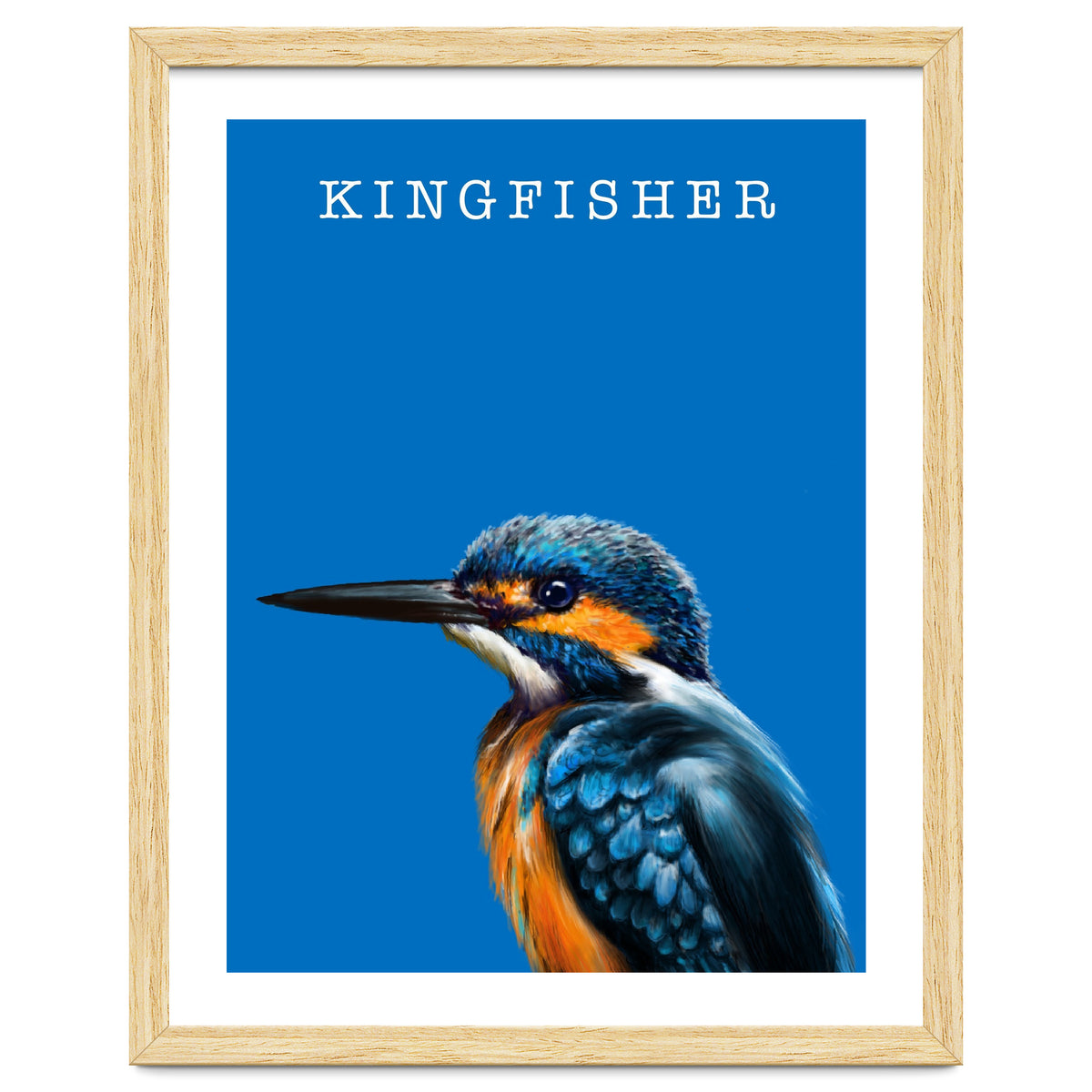 Kingfisher