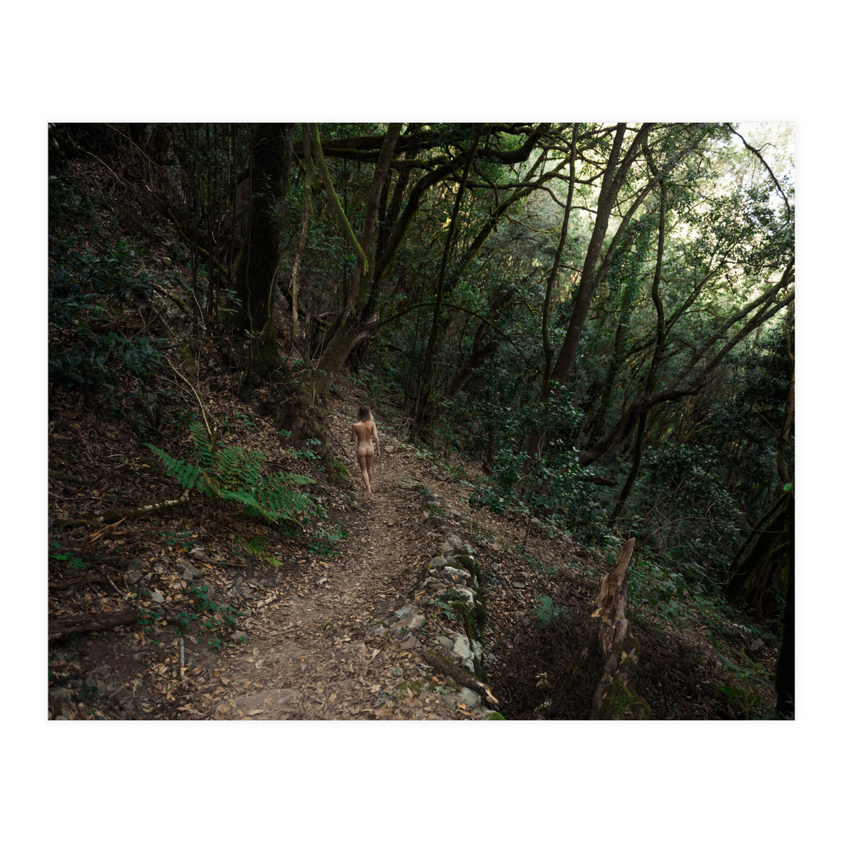 Wild Wild Woods (Print Only)