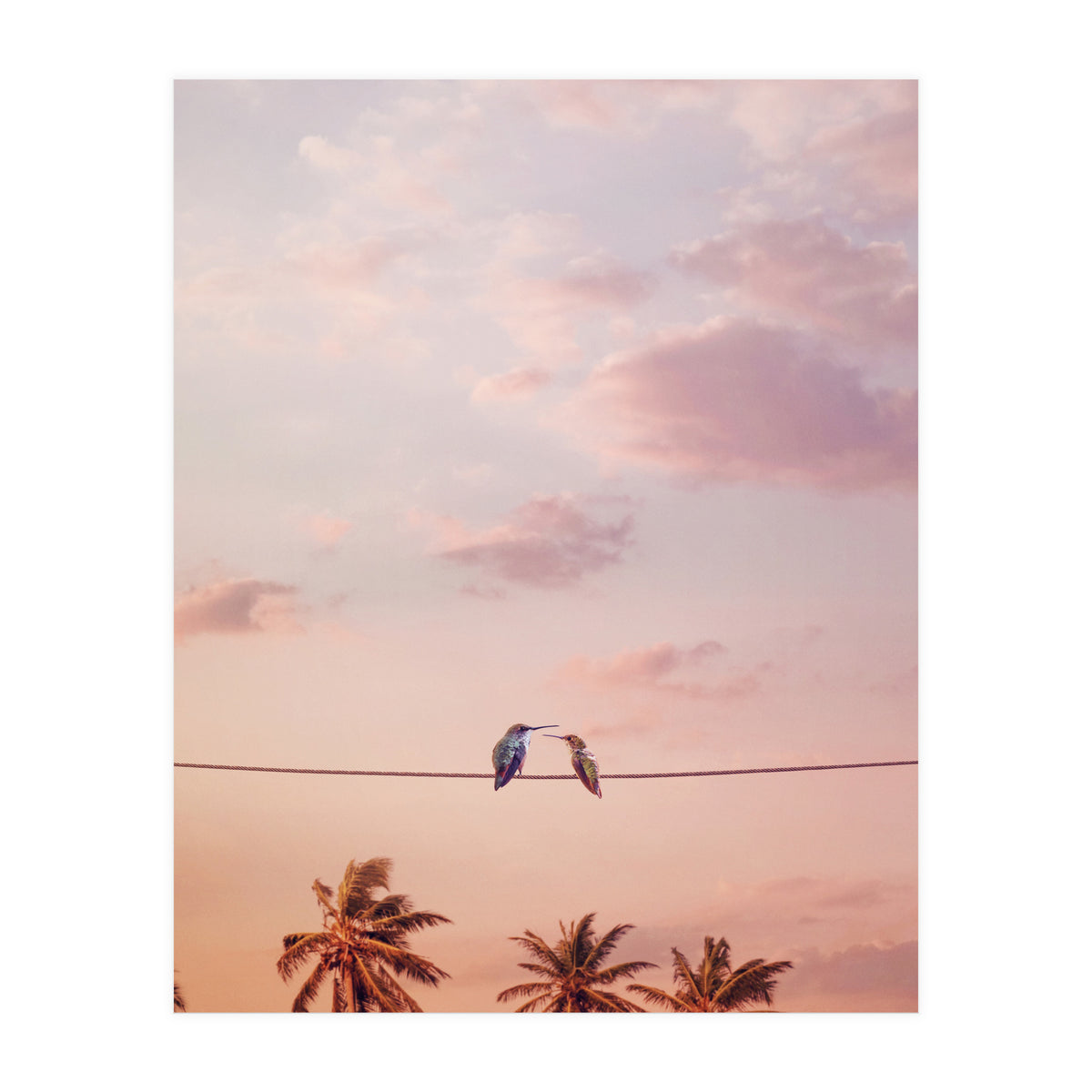 Hummingbirds In Love (Print Only)