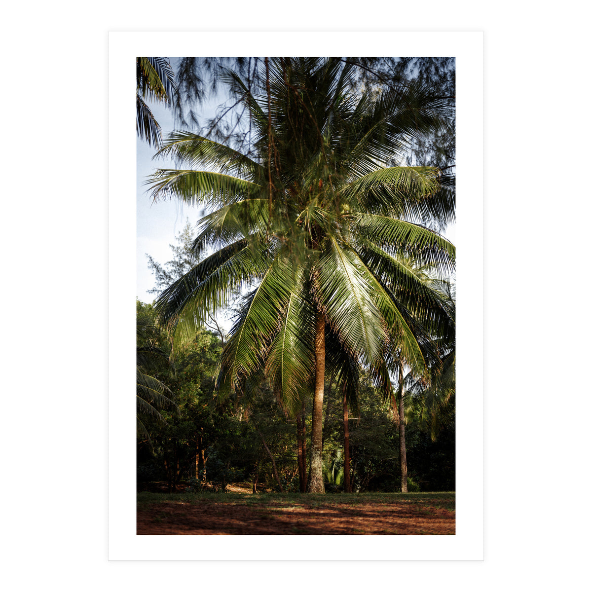 Vacation Postcard (Print Only)