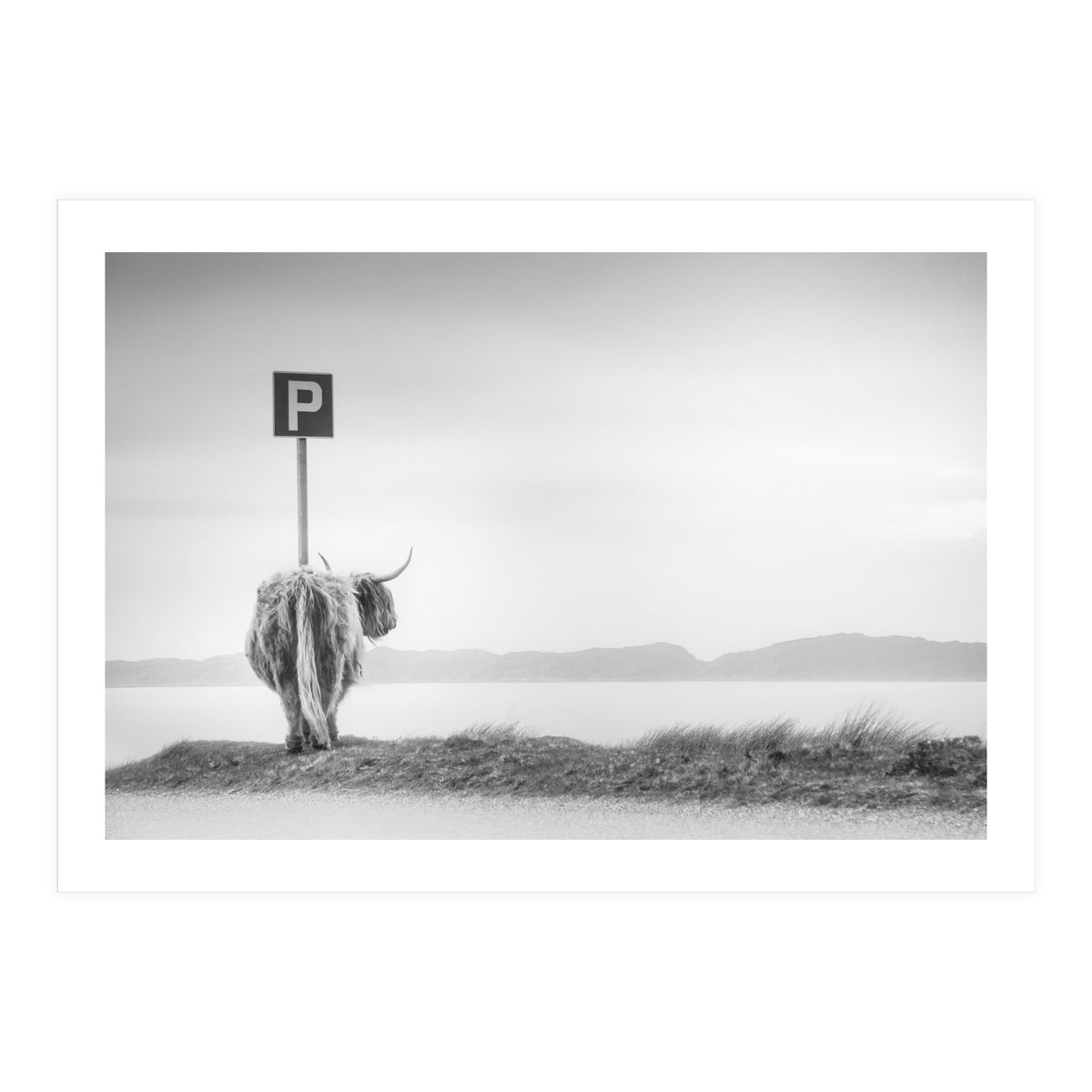 Highland Visitor (Print Only)