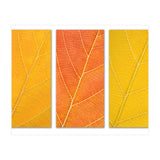 Autumn Leaves (Print Only) thumbnail