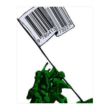Raising The Flag Of Commerce  (Print Only) thumbnail