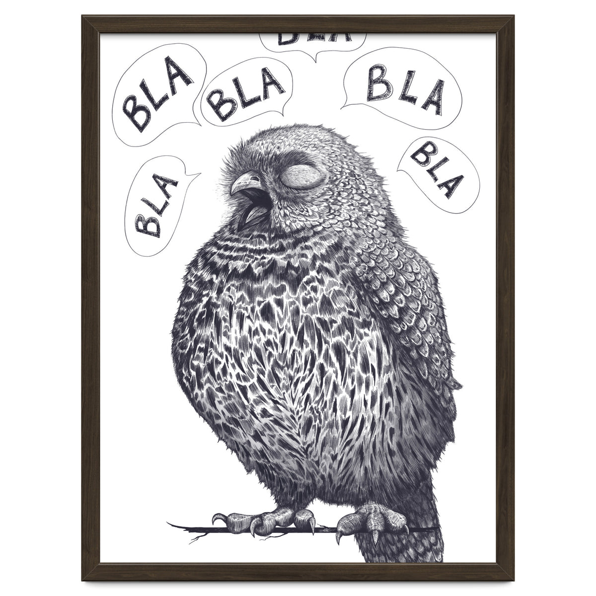 Owl Bla Bla Bla