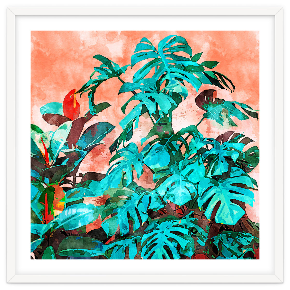 Monstera In My Backyard