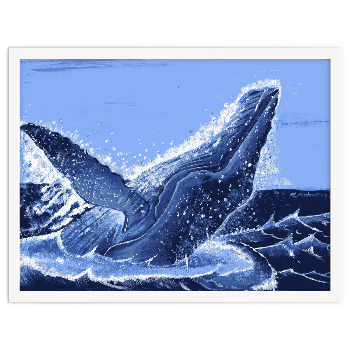 Humpback Whale Breaching