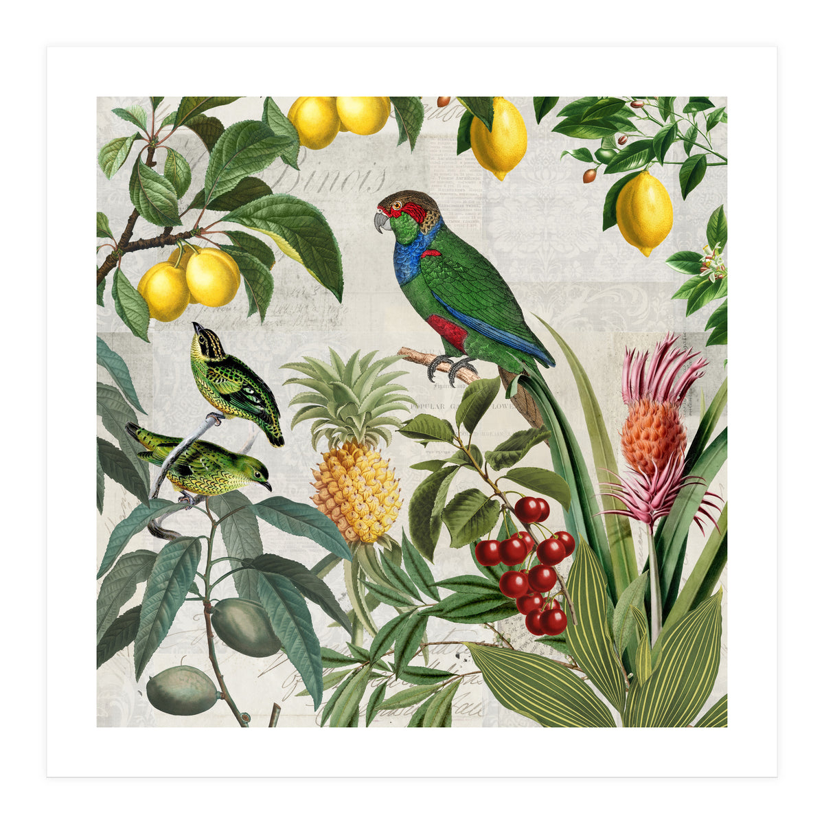 Fruit Paradise (Print Only)