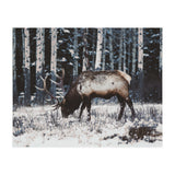 animal print (Print Only) thumbnail
