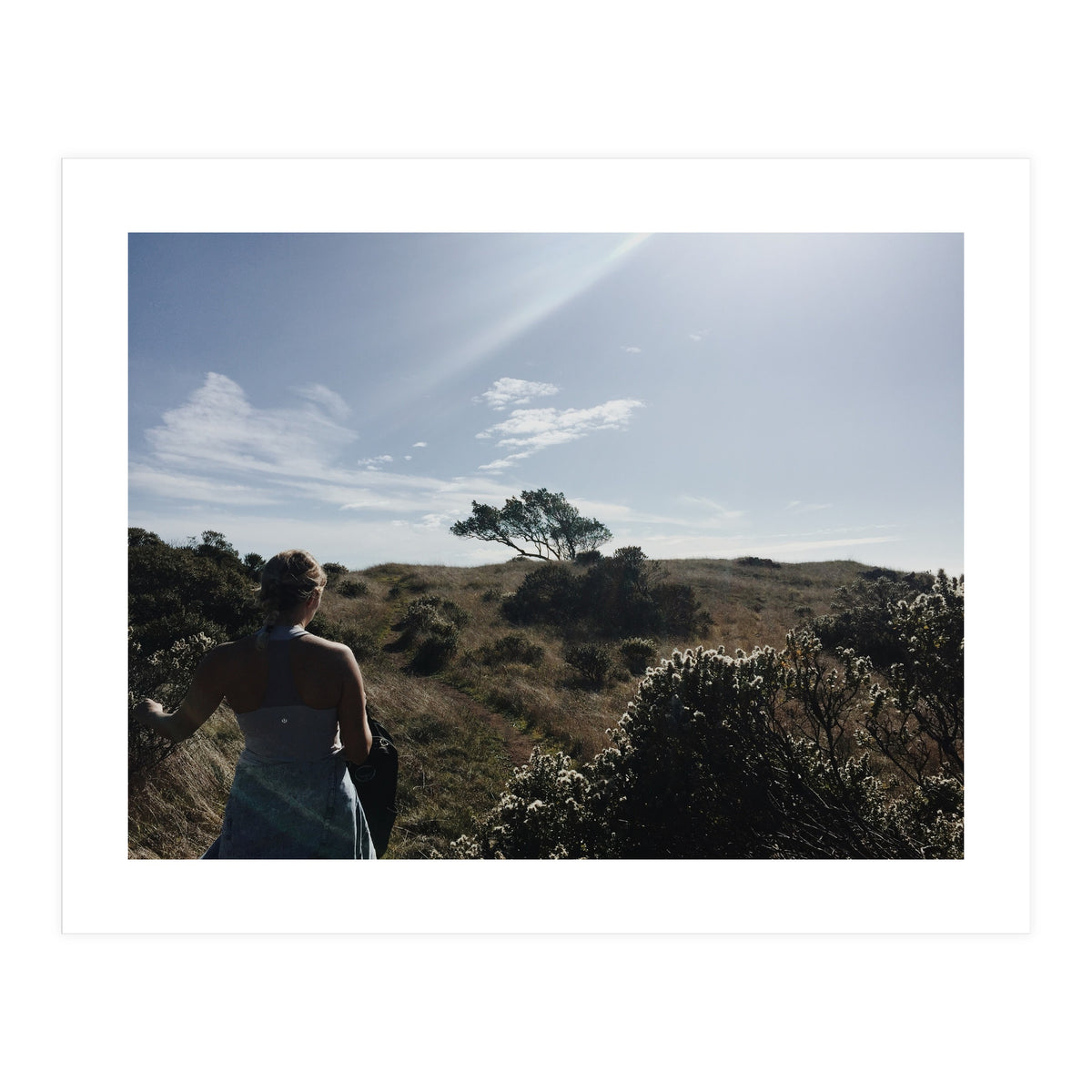 Mt. Tamalpais (Print Only)