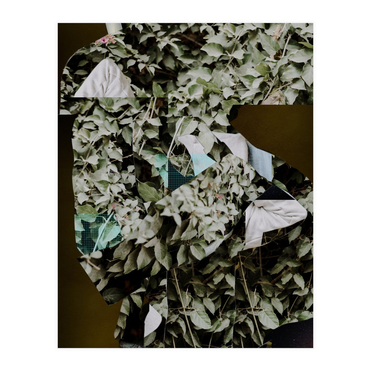 Disappeared Dreams 2 (Print Only)