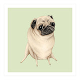 Sweet Fawn Pug (Print Only) thumbnail
