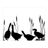 Geeses  (Print Only) thumbnail