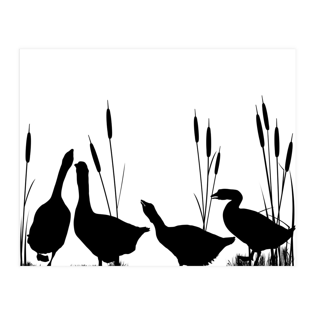 Geeses  (Print Only)