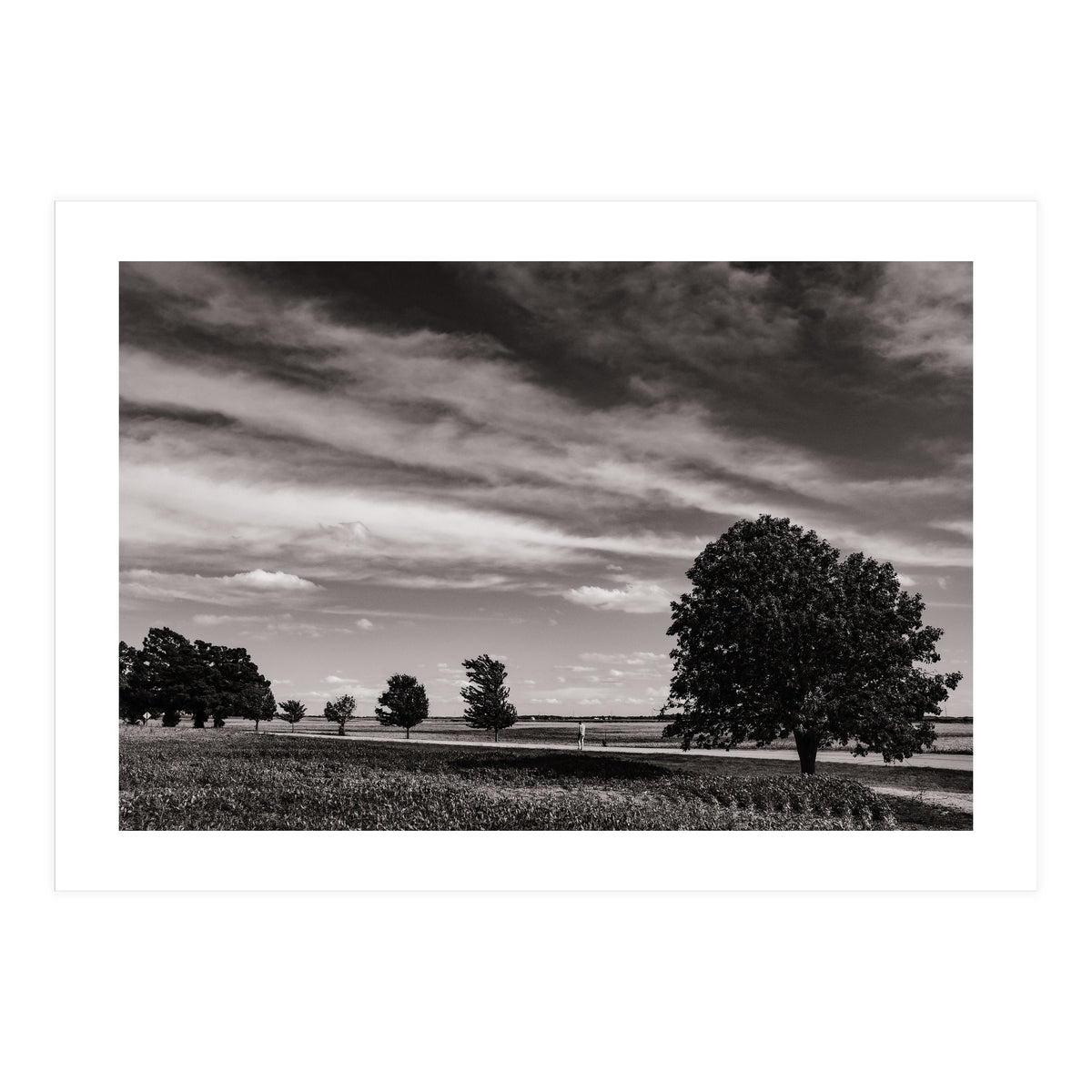 Country Road, Illinois  (Print Only)