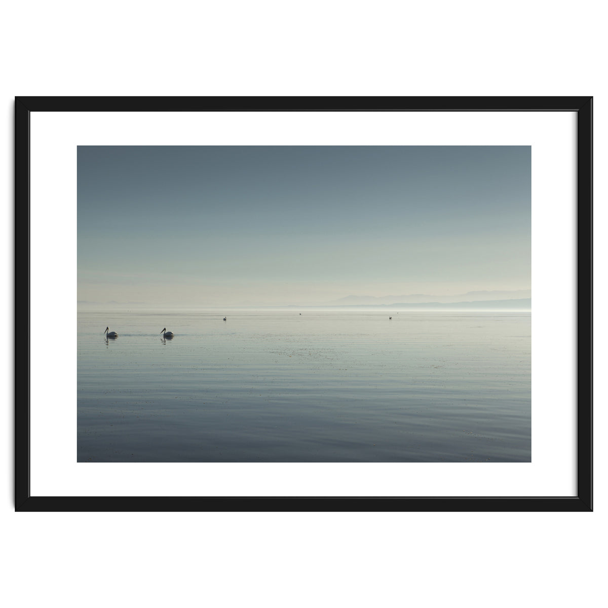 The Salton Sea