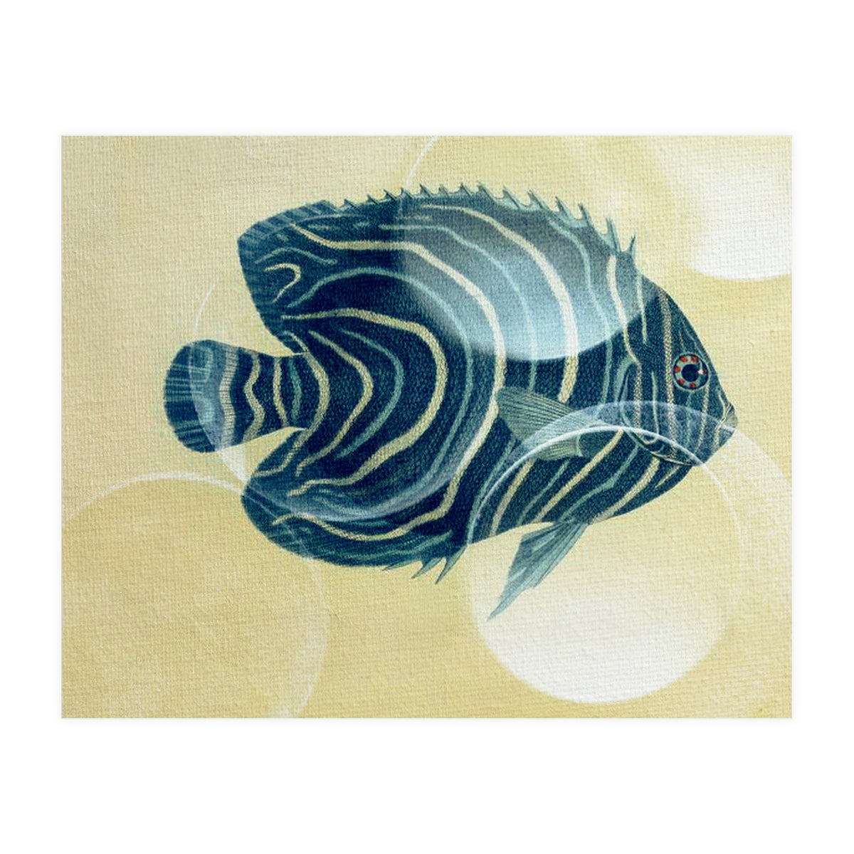 Fish Between Circles (Print Only)