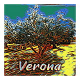 Colorful Olive tree in Verona, Italy. (Print Only) thumbnail