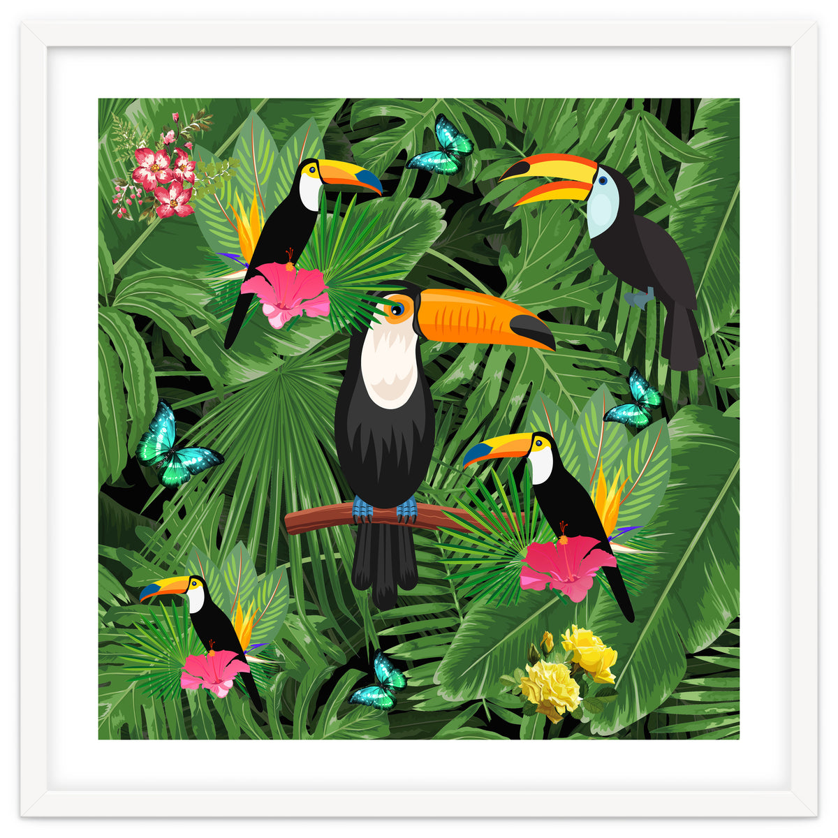 Toucan