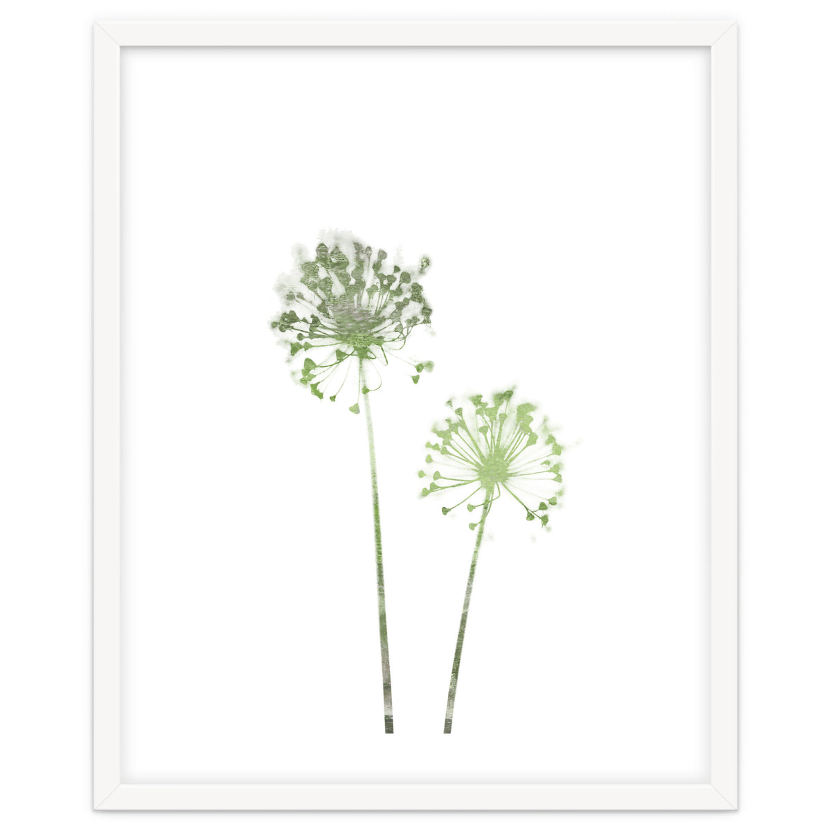 Olive Green Dandelion