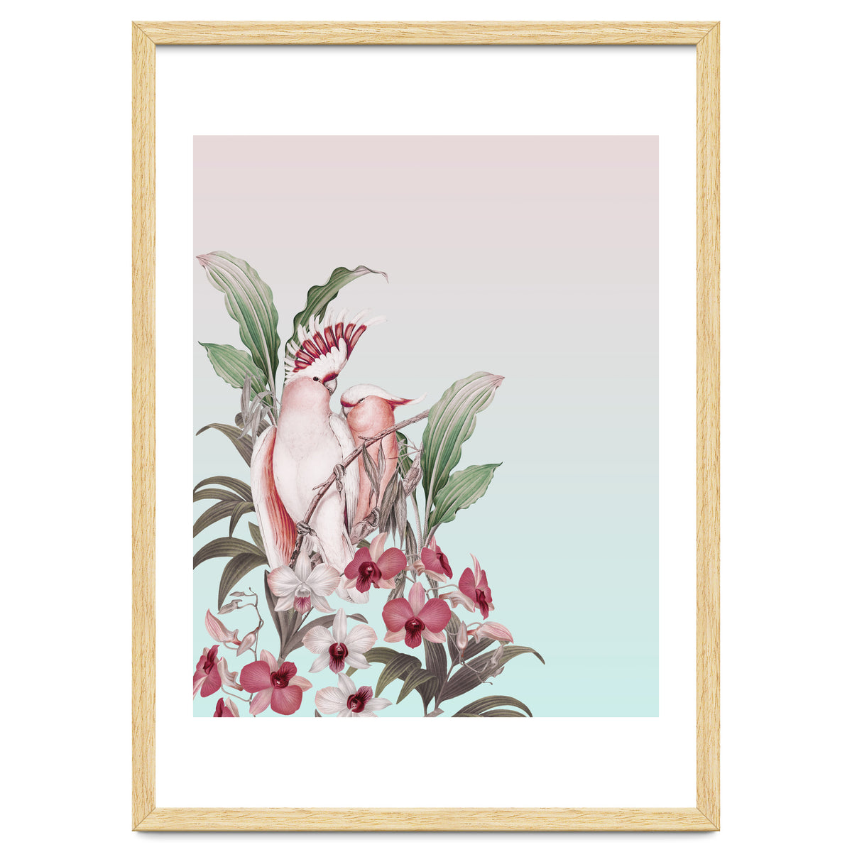 Pastel Cockatoos Paradise