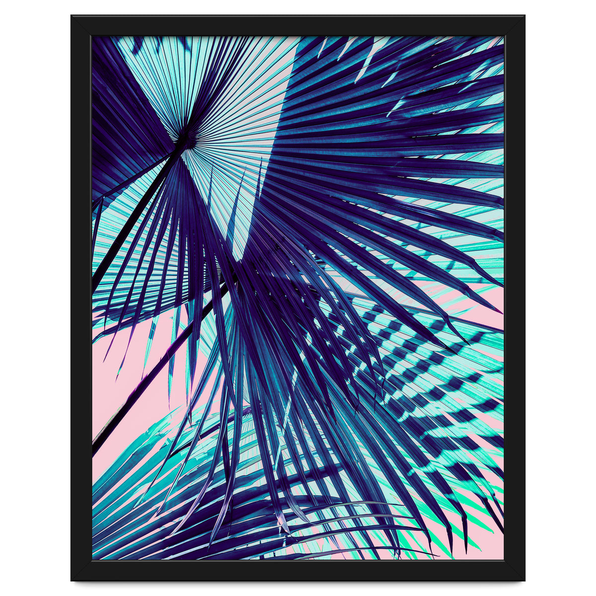Palm leaf on the beach