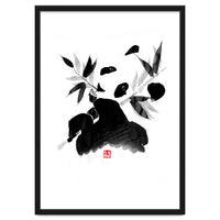 Panda (2)
