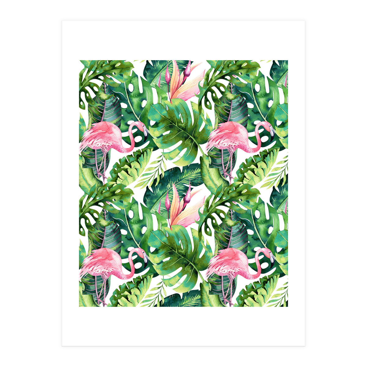 Flamingo Tropical II (Print Only)