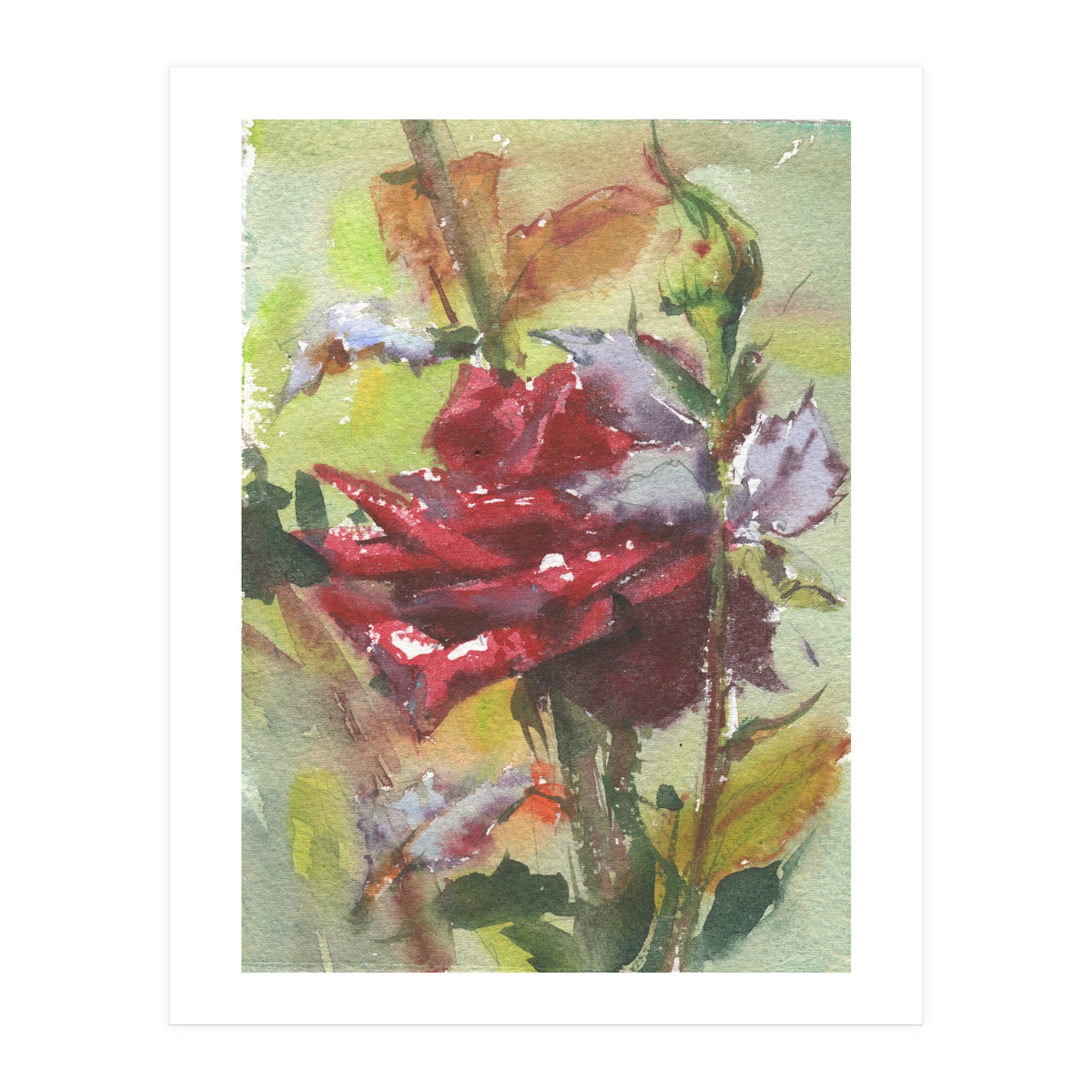 Spice Rose watercolor painting (Print Only)