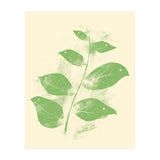 Flying Leaves (Print Only) thumbnail