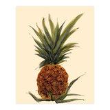 Pineapple (Print Only) thumbnail
