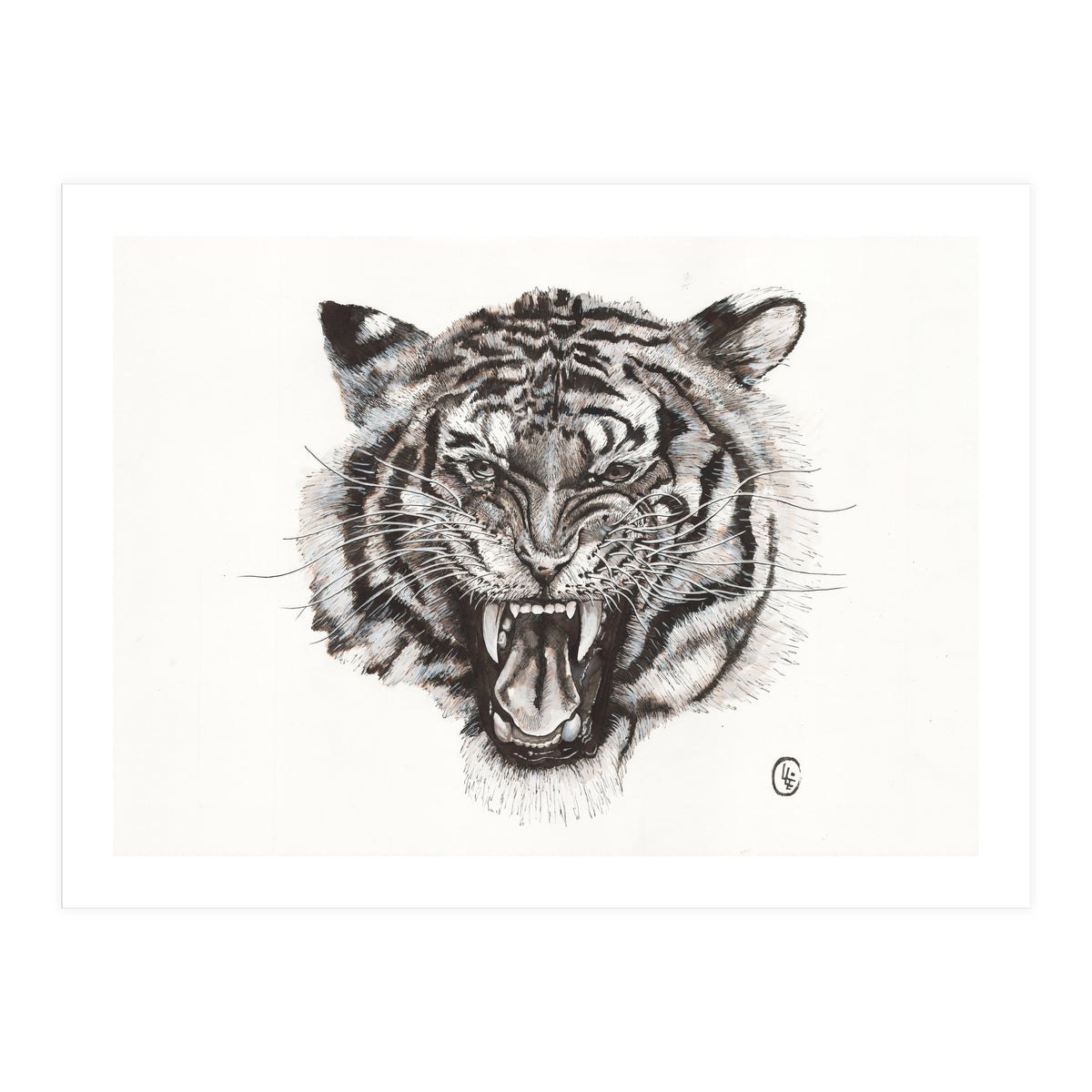 Tiger (Print Only)
