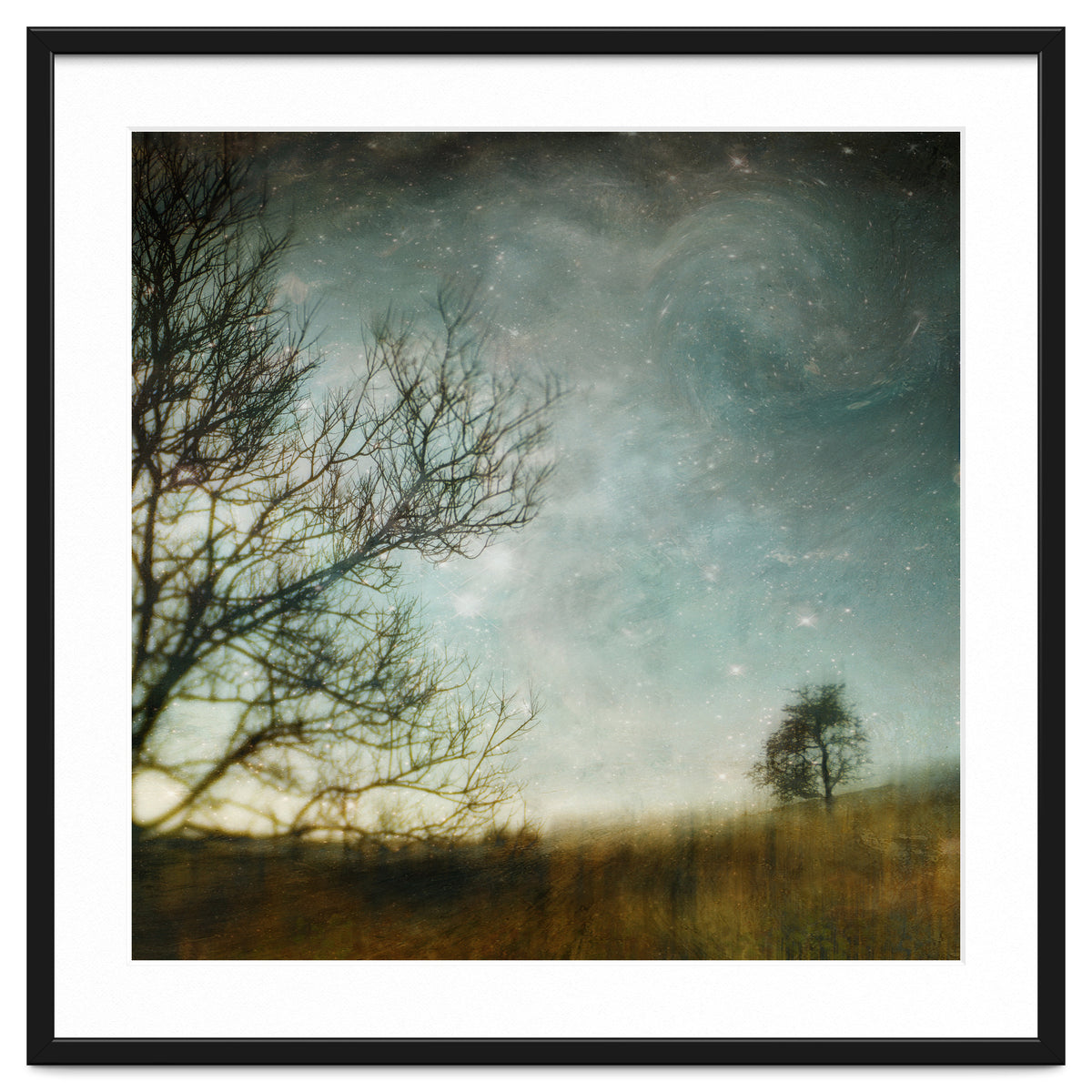 The Tree That Whispered