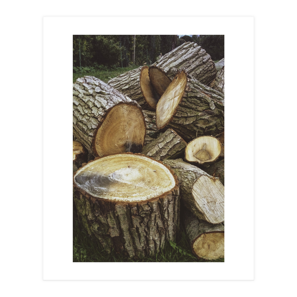 Bucolism 4 (Print Only)