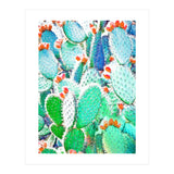 Painted Cactus (Print Only) thumbnail