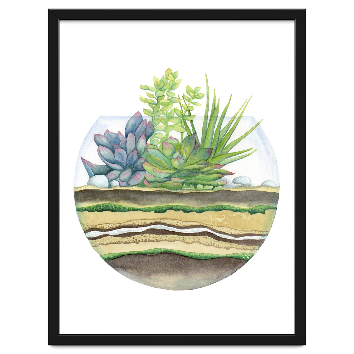 A Little Green Terrarium