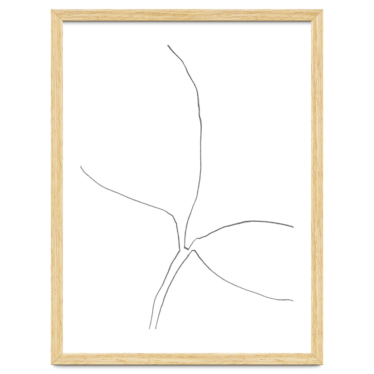 Seedling Leaning Right