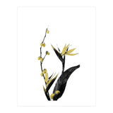 Flower Minimal Black And Gold 02 (Print Only) thumbnail