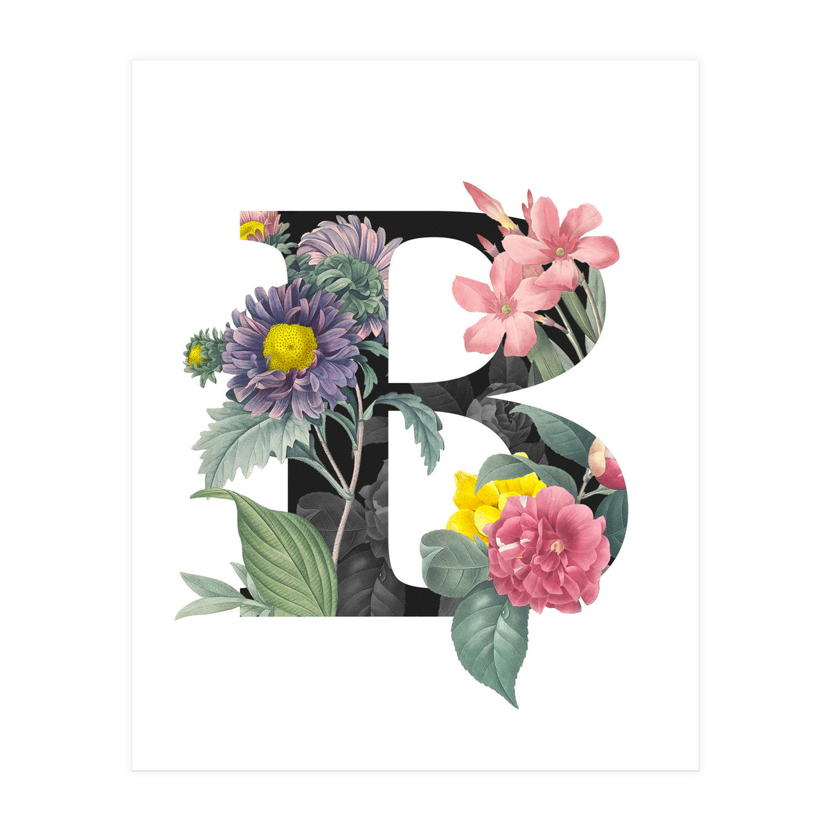 Letter B (Print Only)